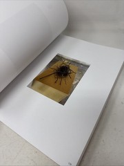 Christopher Wool – See Stop Run Paperback *Cover damage. Pages Like New