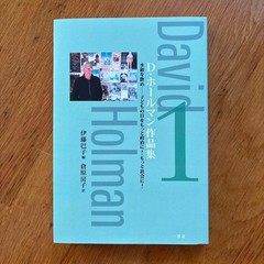David Holman Works Collection 1 Tomoko Ito Art Book Used approx. 10.8 x 8.3 in