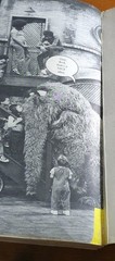 Sesame Street CTW Big Bird’s Busy Book, Starring Jim Henson’s Muppets 1975 Vtg