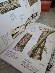 Painting with Watercolor, Pen and Ink Paperback Claudia Nice. illustrated 2001