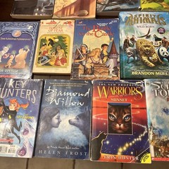 Chapter Books Fantasy-Lot of 18-dragons, Warriors, Narnia, Choose Own Adventure