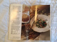 Pillsbury Classics Cookbook ALL American Picnics & Barbecues #172 1995 94 Pages
