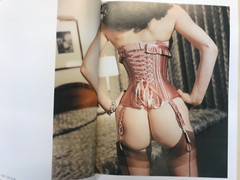HOT CHEEKS, edition Skylight 2011 4. Edition, Aktfotografie: 392 Seiten BDSM NEU