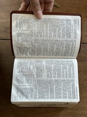 Holy Bible Book of Mormon Doctrine and Covenants Pearl of Great Price Indexed