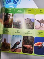 Punjabi Rang Childrens Educational Kids Books Lot of 8