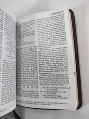 NIV New Testament Psalms Proverbs Bonded Leather Burgundy English Pocket Bible