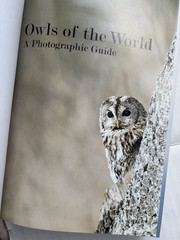 Owls of the World : A Photographic Guide Hardcover Heimo Mikkola