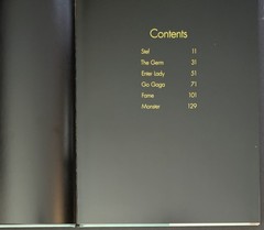 Johnny Morgan Gaga 2010 Book Hardcover 160 Pages *PLEASE READ*