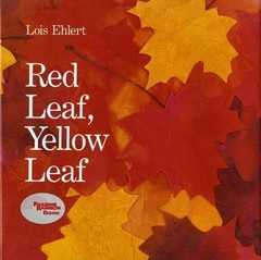 Red Leaf, Yellow Leaf – hardcover, 9780152661977, Lois Ehlert