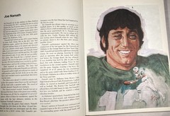 THE CHAMPIONS. Vintage 1972 HC. 30 All-Time Great Athlete Bios w/Illustrations.