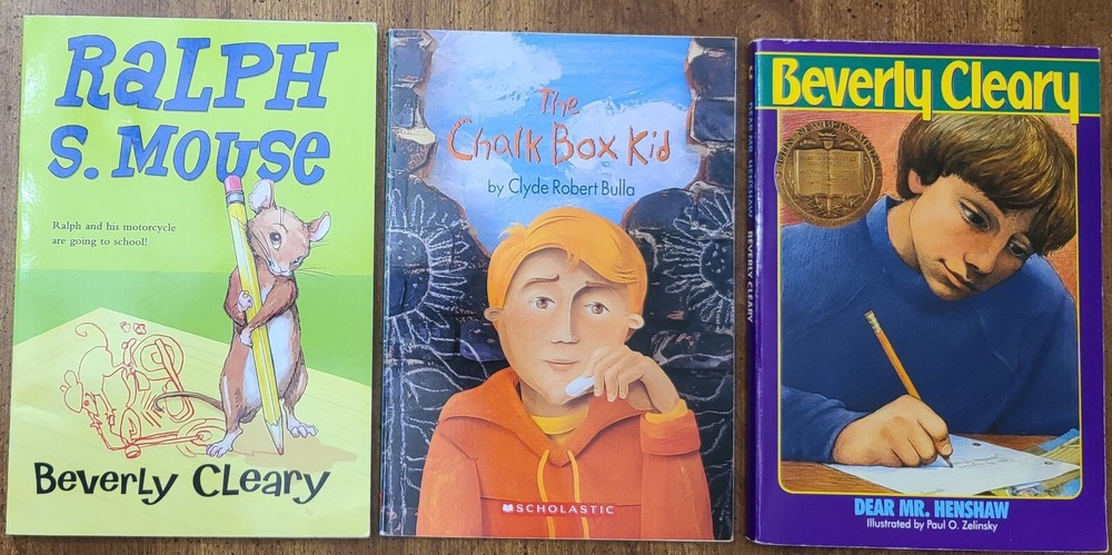 Chapter Books For Boys Lot of 3