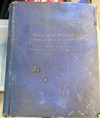 1911 Rio Grande Topographical Map – Roma to the Gulf of Mexico (America)