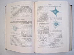 Malattie Infettive Dell’uomo E Degli Animali by Alessandro Lustig (Vol. I-II)