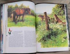 Secrets of the Gnomes by Rien Poortvliet and Wil Huygen (1982, Hardcover)