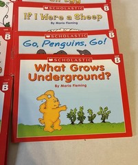 Little Leveled Readers by Scholastic Kids Books Lot Of 100+ Plz Read