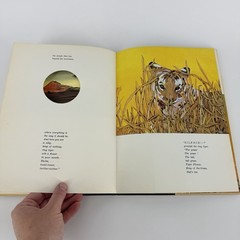 SIGNED Tiger Flower by Robert Vavra 1973, HC Around Flour Cowles’ Paintings 1st