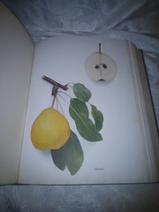 THE PEARS OF NEW YORK U.P. Hedrick 80 color plates 1921 First Ed