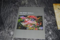 Lot of 2 Clarence Larkin The Spirit World (Paperback) Books Illustrated