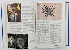 The New Book of Popular Science Volume 4: Deluxe Home Edition (1992, Hardcover)