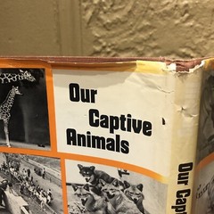 ‘OUR CAPTIVE ANIMALS’- J.J. McCOY-1971-RARE 1ST EDITION HC/DJ- EXOTIC & DOMESTIC