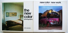 NEW COLOR/NEW WORK, THE NEW COLOR, Sally Eauclaire Abbeville Press 1st Ed. [368]