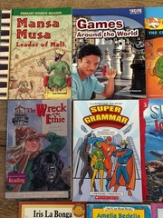 Lot of 21 Level 3 & 4 Early Reader Chapter Books Scholastic I Can Read Mixed Set