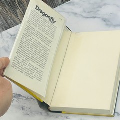 Dragonfly — K.R. Dwyer (Dean R. Koontz) 1975 First Edition Hardcover DJ Mystery