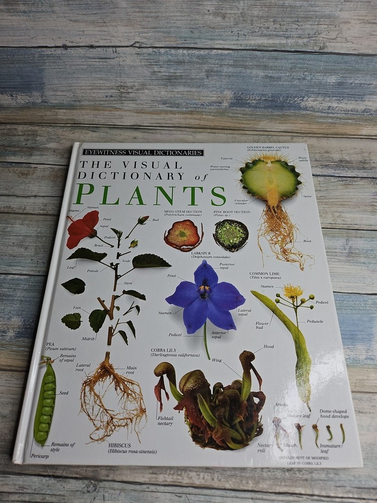 Plants by Deni Bown and Dorling Kindersley Publishing Staff Hardcover Book