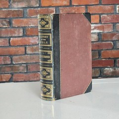 1868 Illustrated History of the Holy Bible by John Kitto HC Henry Bill