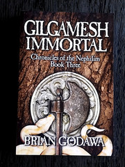 GILGAMESH IMMORTAL CHRONICLES OF THE NEPHILIM BRIAN GODAWA BOOK BRAND NEW