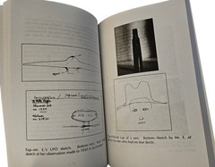 UFOs and Abductions In Brazil Irene Granchi Trade Paperback Book 1995 USED