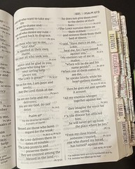 NIV Super Giant Print Reference Bible 2011 Brown Leathersoft 16.5pt Font – EUC