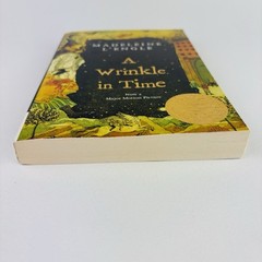 A Wrinkle in Time Book By Madeleine L’engle Paperback John Newberry Medal