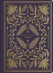 ESV Illuminated Scripture Journal: John – Paperback – VERY GOOD