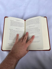 Daily Feast : Meditations from Feasting on the Word (Years A, B and C together)