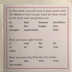 Pete the Cat I Can Read Phonics Kids Decodable Books Lot 12