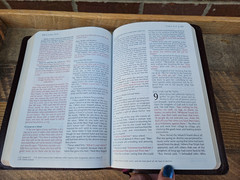 VG! TNIV Large Print Thinline Bible Deep Burgundy Bonded Leather OOP