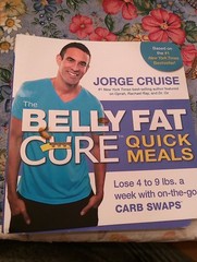 The Belly Fat Cure Quick Meals: Lose 4 to 9 lbs. a week with on-the- – VERY GOOD