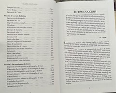 Vine Comentario temtico: Cristo [Spanish Edition]