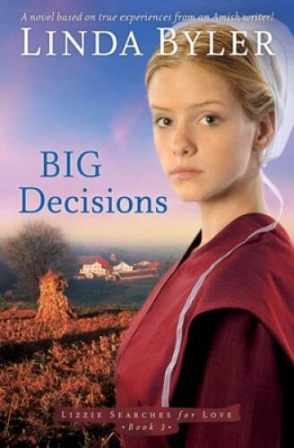 Big Decisions: A Novel Based On True Experiences From An Amish Write – VERY GOOD