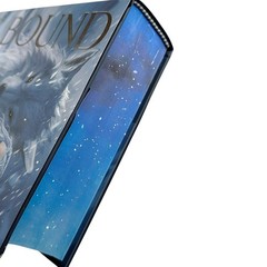 Dire Bound Fairyloot SIGNED Exclusive Edition Sable Sorensen (NEW)