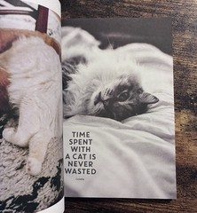 Flow Magazine Special Edition Issue „Calm Down” Paperbook in Dutch Language