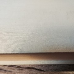 FLIGHT OF THE ALBATROSS By Deborah Savage – Hardcover, DJ, SIGNED First Ed.