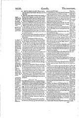 1560 &1599 Geneva Bible-Reformation Scripture CommentaryJohn Calvin & Beza-on CD