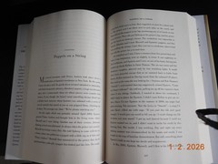 Nobody’s Girl: A Memoir of Surviving Abuse and Fighting for Justice paperback..
