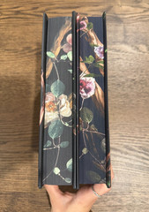 Shield of Sparrows & Rites of the Starling – Devney Perry DELUXE SPRAYED EDGES