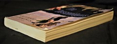 The Descendants: A Novel – By Hemmings, Kaui Hart – Paperback pages 297 – GOOD
