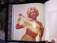 MARILYN A BIOGRAPHY PICTURES BY THE WORLDS FOREMOST PHOTOGRAPHERS