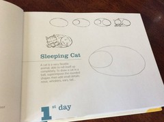 365 DAYS OF DRAWING By Lise Herzog – Hardcover Like New