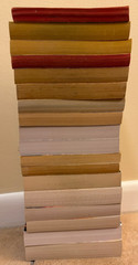 Lot of 17 Western Action Books ~ Johnstone + Zane Grey + L’Amoure + Max Brand ++